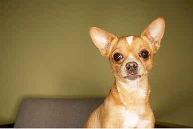 《史力奇：姆明谷的旋律》试玩推出 截止至10＆16